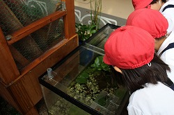 f:id:d-chuo:20131025165059j:plain f:id:d-chuo:20131025165059j:plain