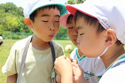 f:id:d-chuo:20150530153328j:plain f:id:d-chuo:20150530153328j:plain