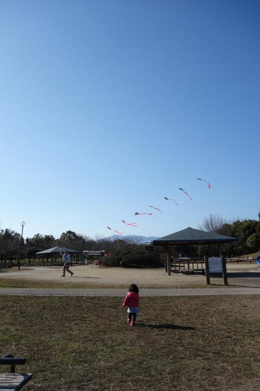 f:id:d55:20140103194642j:plain