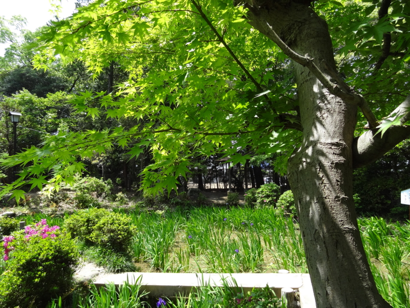 f:id:daichi46:20140504113021j:plain f:id:daichi46:20140504113021j:plain