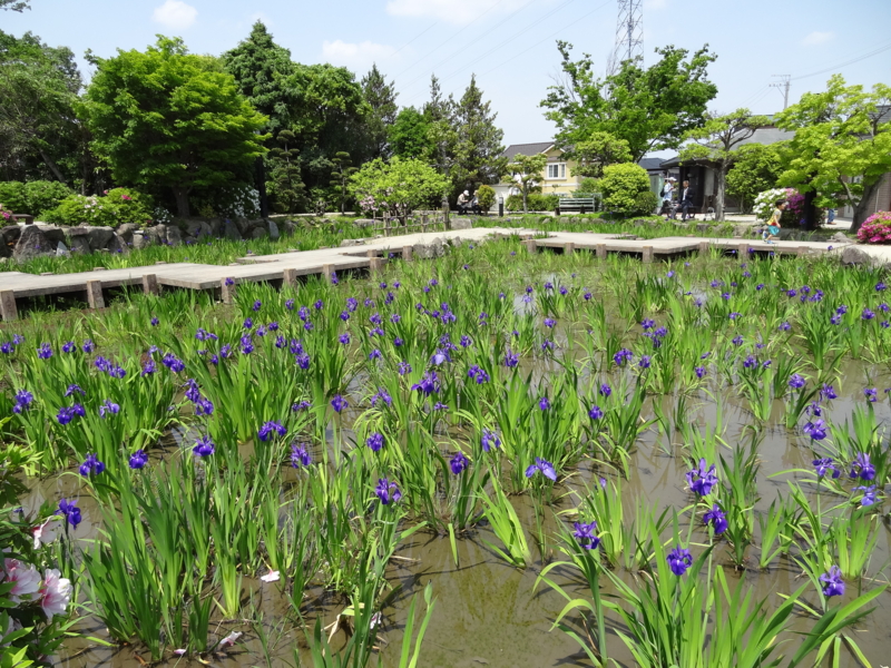 f:id:daichi46:20140504113547j:plain f:id:daichi46:20140504113547j:plain