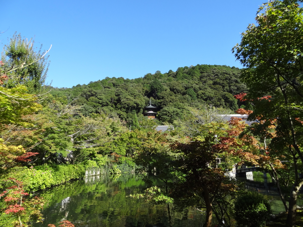 f:id:daichi46:20150929152652j:plain f:id:daichi46:20150929152652j:plain
