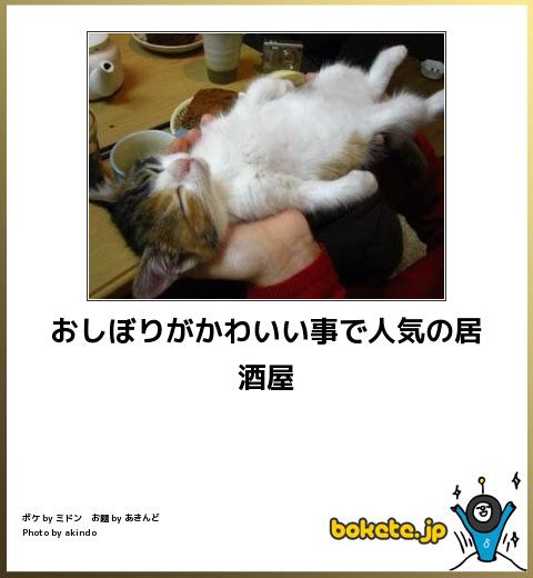 f:id:daichinome:20131127110020j:plain f:id:daichinome:20131127110020j:plain