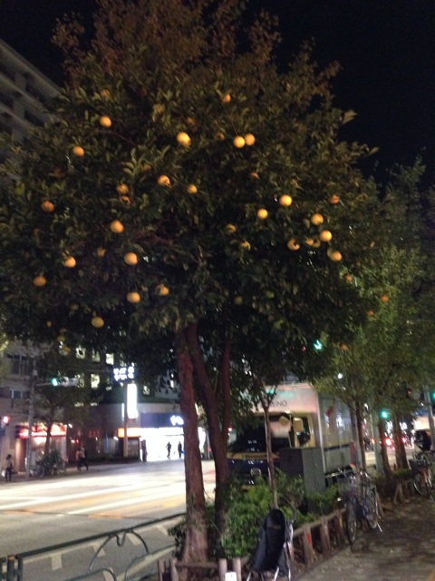f:id:daichinome:20131129232729j:plain f:id:daichinome:20131129232729j:plain