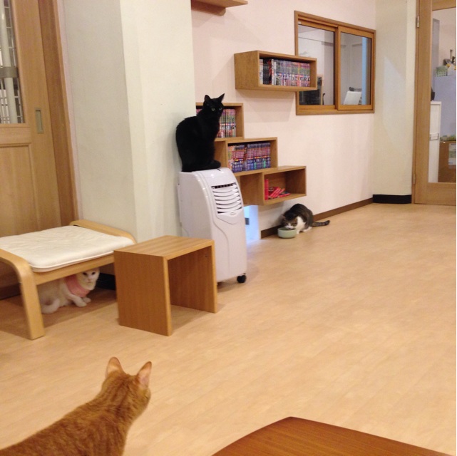 f:id:daichinome:20131201225001j:plain f:id:daichinome:20131201225001j:plain