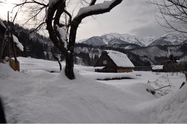 f:id:daidaiiroo:20140203184812j:plain f:id:daidaiiroo:20140203184812j:plain