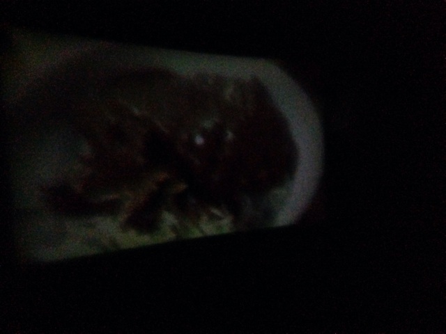 f:id:daidaiiroo:20140428150237j:plain f:id:daidaiiroo:20140428150237j:plain