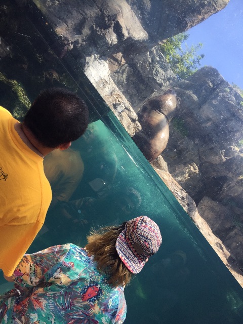 f:id:daidaiiroo:20150606151123j:image f:id:daidaiiroo:20150606151123j:image