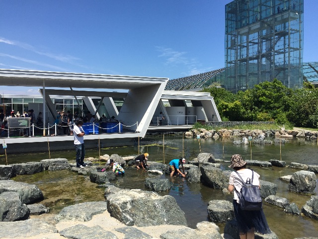 f:id:daidaiiroo:20150606151950j:image f:id:daidaiiroo:20150606151950j:image