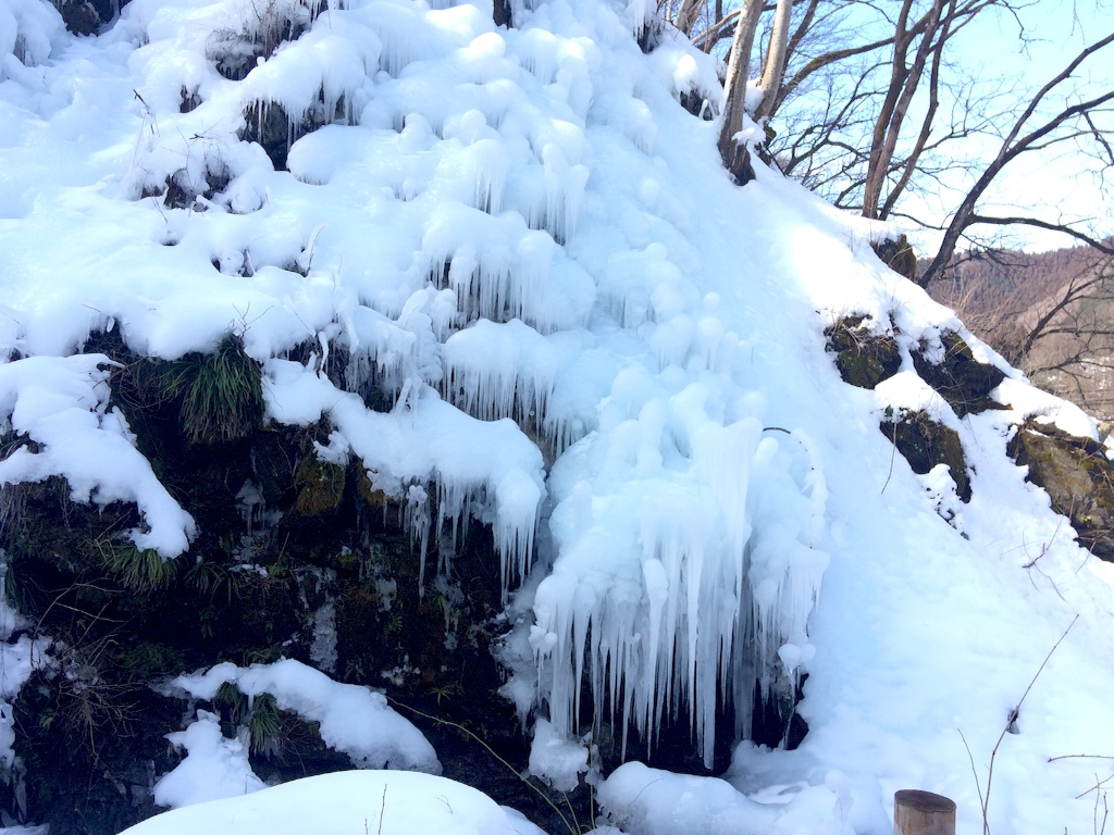 f:id:daifukupon:20160131140636j:image f:id:daifukupon:20160131140636j:image