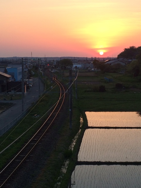 f:id:daigo714:20140730005552j:plain f:id:daigo714:20140730005552j:plain