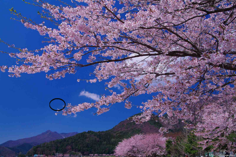 f:id:daikaidai:20150416211929j:plain f:id:daikaidai:20150416211929j:plain