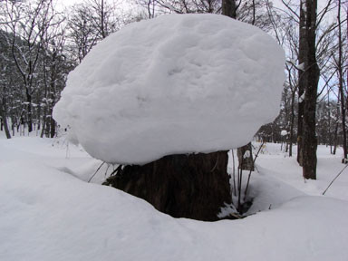 f:id:daisetsuzan:20110228180139j:image f:id:daisetsuzan:20110228180139j:image