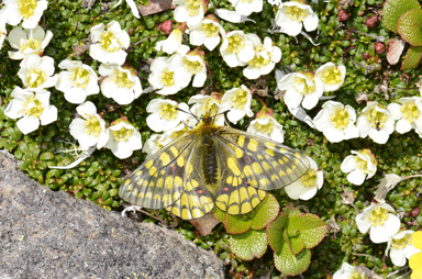 f:id:daisetsuzan:20120615190738g:image f:id:daisetsuzan:20120615190738g:image