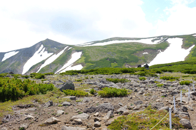 f:id:daisetsuzan:20120615190743g:image f:id:daisetsuzan:20120615190743g:image