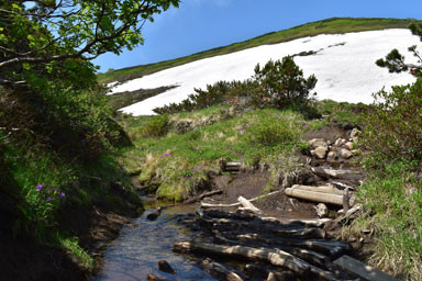 f:id:daisetsuzan:20150627210053j:image f:id:daisetsuzan:20150627210053j:image