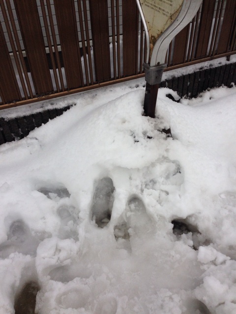 f:id:daisuke_null:20140215085059j:plain f:id:daisuke_null:20140215085059j:plain