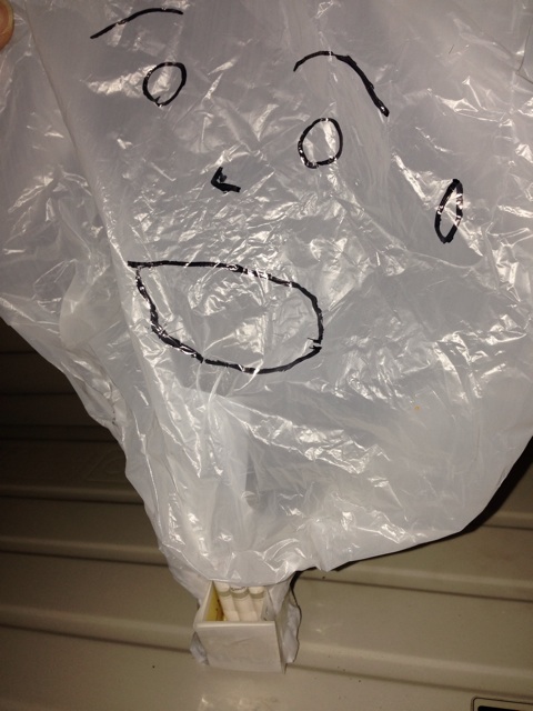 f:id:daisuke_null:20140223184755j:plain f:id:daisuke_null:20140223184755j:plain