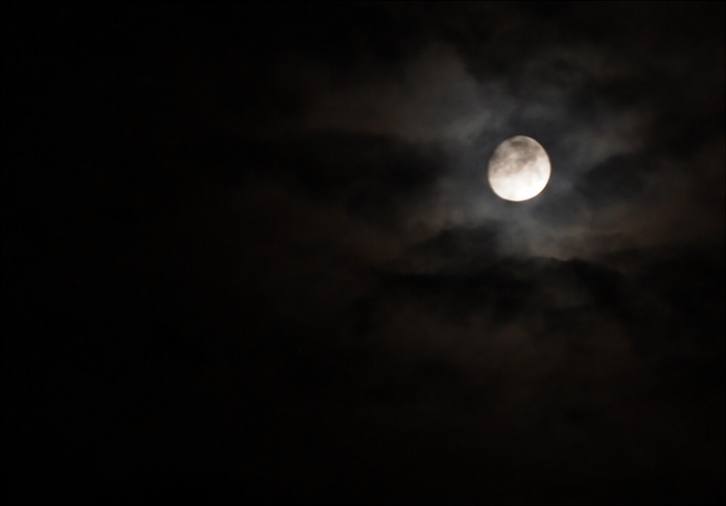 f:id:daizu_black2:20130724001738j:plain