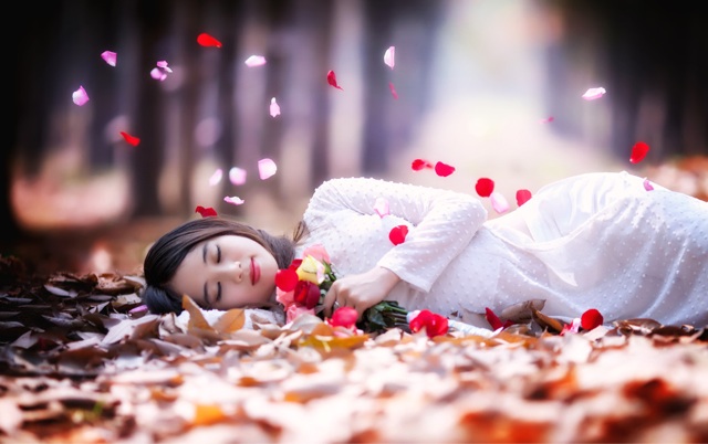 f:id:dandy611:20150206115021j:plain f:id:dandy611:20150206115021j:plain
