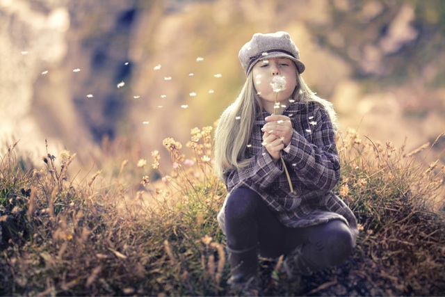f:id:dandy611:20150301114256j:plain f:id:dandy611:20150301114256j:plain