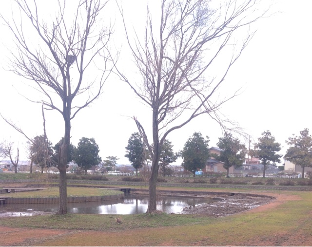 f:id:dandy611:20150314155321j:plain f:id:dandy611:20150314155321j:plain
