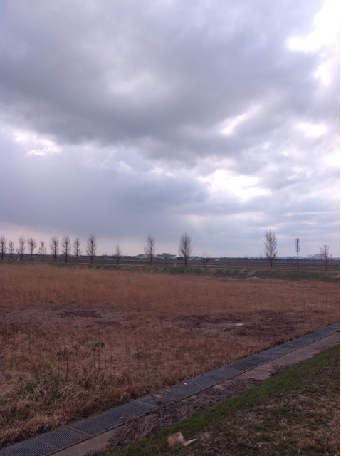 f:id:dandy611:20150314155357j:plain f:id:dandy611:20150314155357j:plain