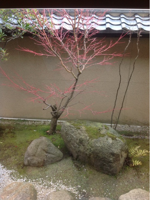 f:id:dandy611:20150326111749j:plain f:id:dandy611:20150326111749j:plain