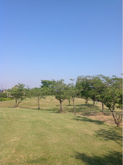 f:id:dandy611:20150527083715j:plain f:id:dandy611:20150527083715j:plain