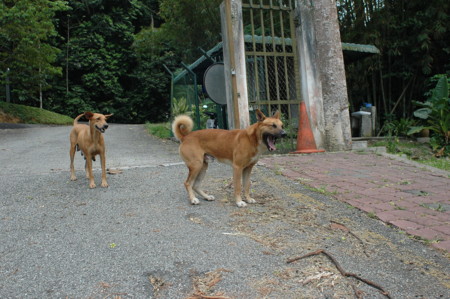 f:id:dantyutei:20070409172003j:image f:id:dantyutei:20070409172003j:image