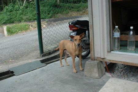 f:id:dantyutei:20070409172128j:image f:id:dantyutei:20070409172128j:image