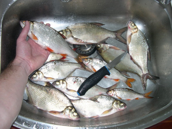 f:id:dantyutei:20070826215355j:image f:id:dantyutei:20070826215355j:image