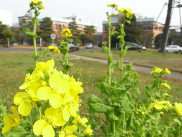 f:id:dantyutei:20090211125550j:image f:id:dantyutei:20090211125550j:image