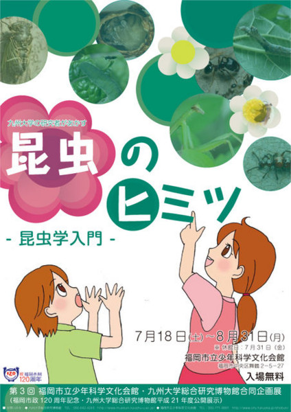 f:id:dantyutei:20090605190937j:image f:id:dantyutei:20090605190937j:image