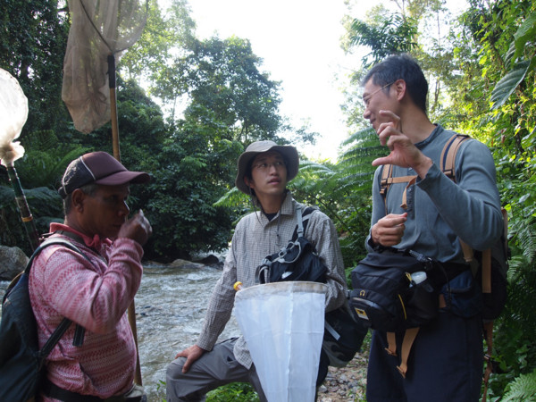 f:id:dantyutei:20091108224321j:image f:id:dantyutei:20091108224321j:image