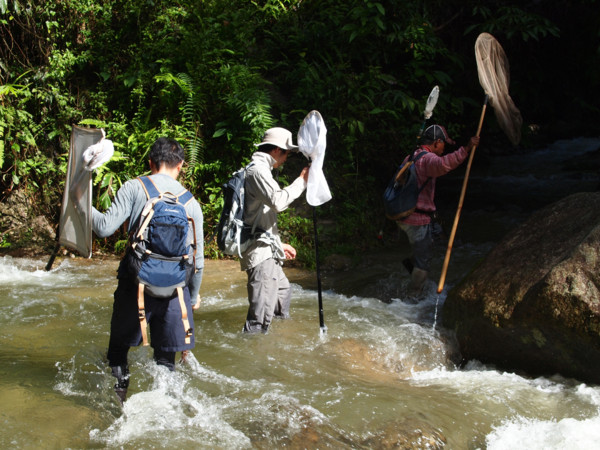 f:id:dantyutei:20091108225830j:image f:id:dantyutei:20091108225830j:image