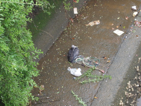 f:id:dantyutei:20100412015054j:image f:id:dantyutei:20100412015054j:image