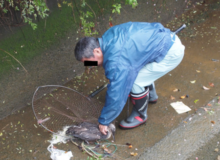 f:id:dantyutei:20100412020631j:image f:id:dantyutei:20100412020631j:image