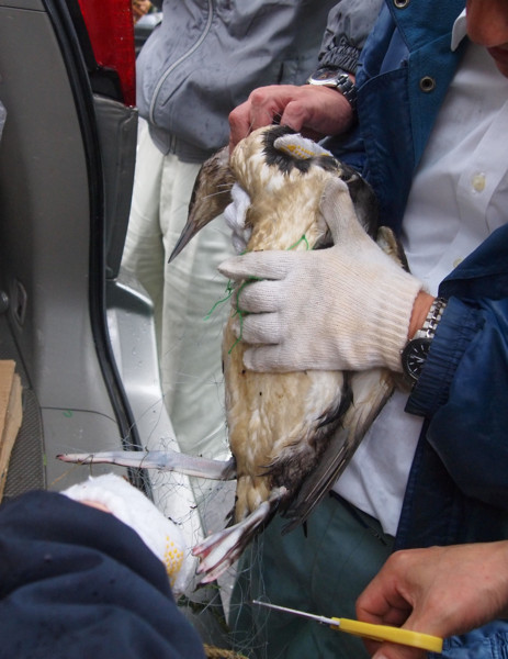 f:id:dantyutei:20100412021503j:image f:id:dantyutei:20100412021503j:image