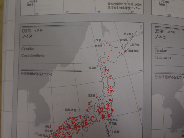 f:id:dantyutei:20100428082343j:image f:id:dantyutei:20100428082343j:image