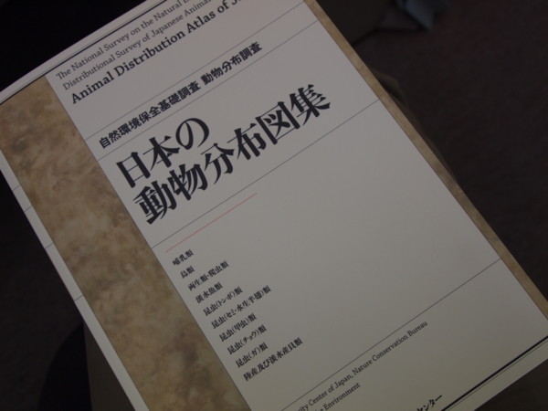 f:id:dantyutei:20100428082354j:image f:id:dantyutei:20100428082354j:image