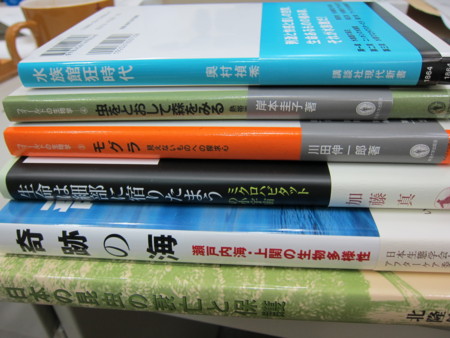 f:id:dantyutei:20101012184655j:image