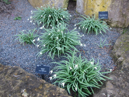 f:id:dantyutei:20110320020714j:image f:id:dantyutei:20110320020714j:image