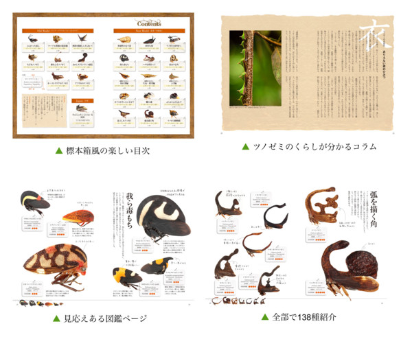 f:id:dantyutei:20110617145809j:image f:id:dantyutei:20110617145809j:image