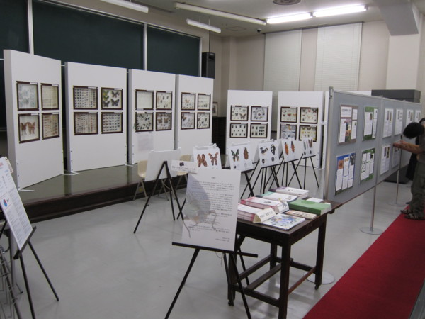 f:id:dantyutei:20110815190710j:image