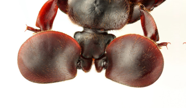 f:id:dantyutei:20110913174216j:image f:id:dantyutei:20110913174216j:image