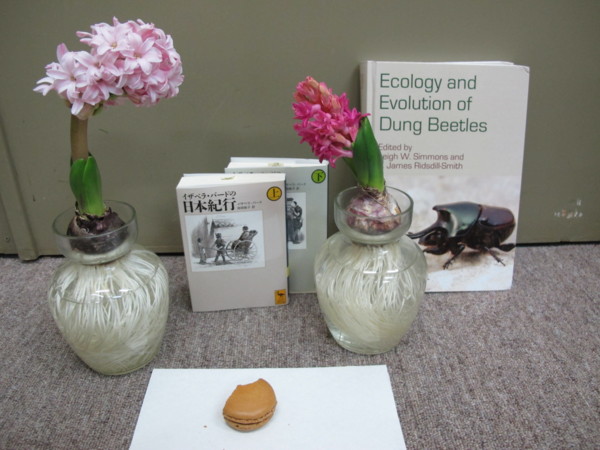 f:id:dantyutei:20120228195658j:image f:id:dantyutei:20120228195658j:image