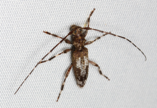 f:id:dantyutei:20120320211221j:image