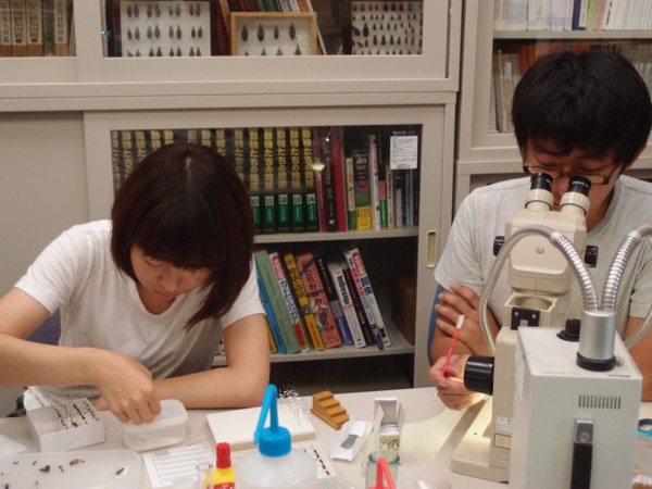 f:id:dantyutei:20120904180201j:image f:id:dantyutei:20120904180201j:image