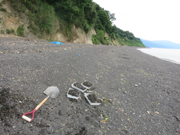 f:id:dantyutei:20130724173929j:image f:id:dantyutei:20130724173929j:image